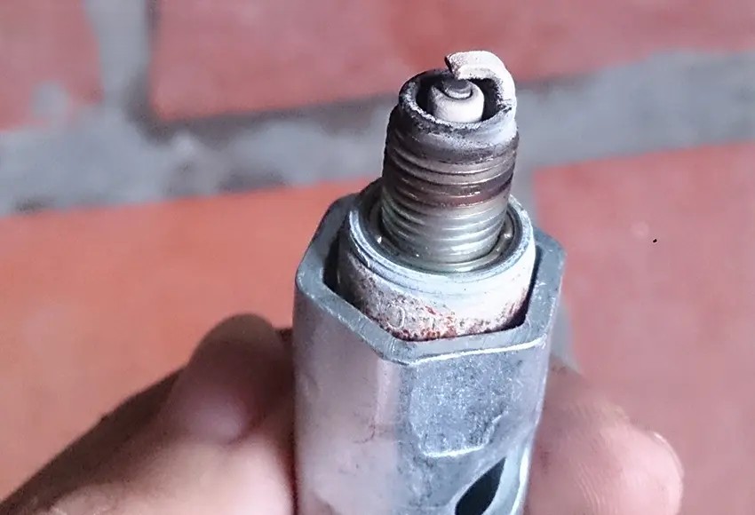 Bugi Bị Trắng Bệch