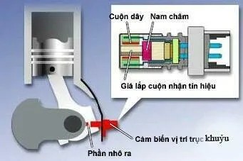 Vị tr&iacute; lắp đặt của Cảm biến trục khuỷu &ocirc; t&ocirc;