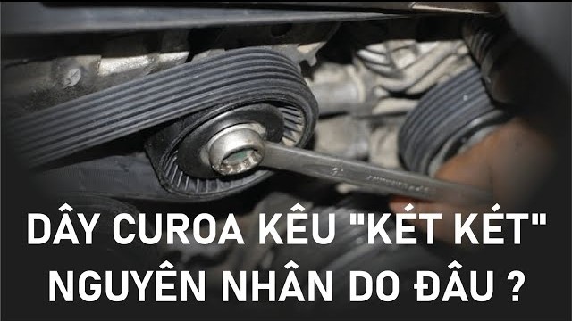 Tại sao dây curoa ô tô kêu rít rít, két két?