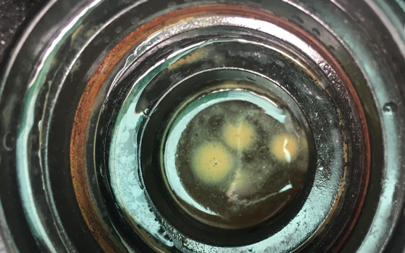 Nước l&agrave;m m&aacute;t &ocirc; t&ocirc; c&oacute; v&aacute;ng dầu