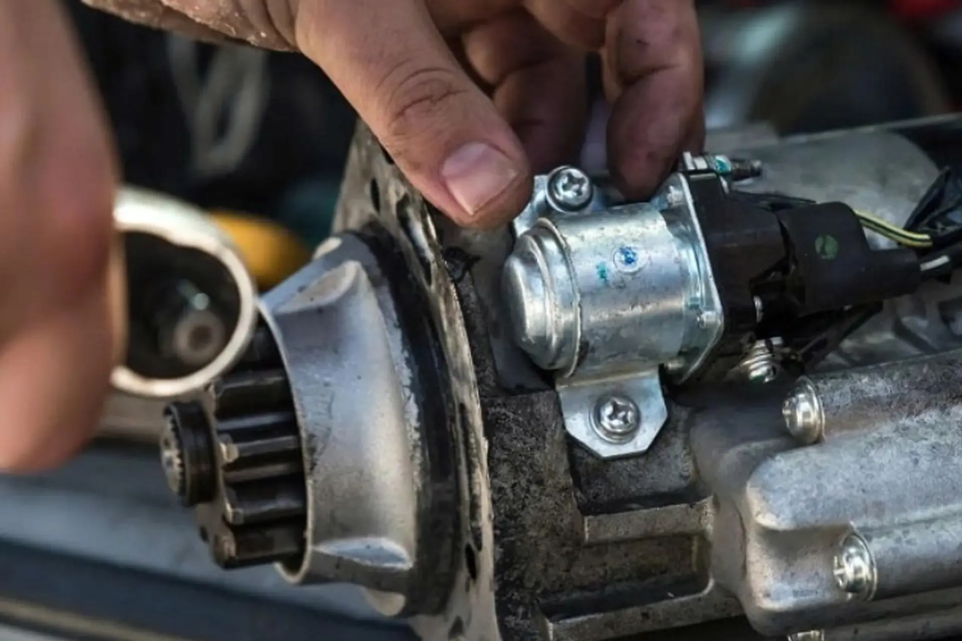 Thay củ đề &ocirc; t&ocirc;