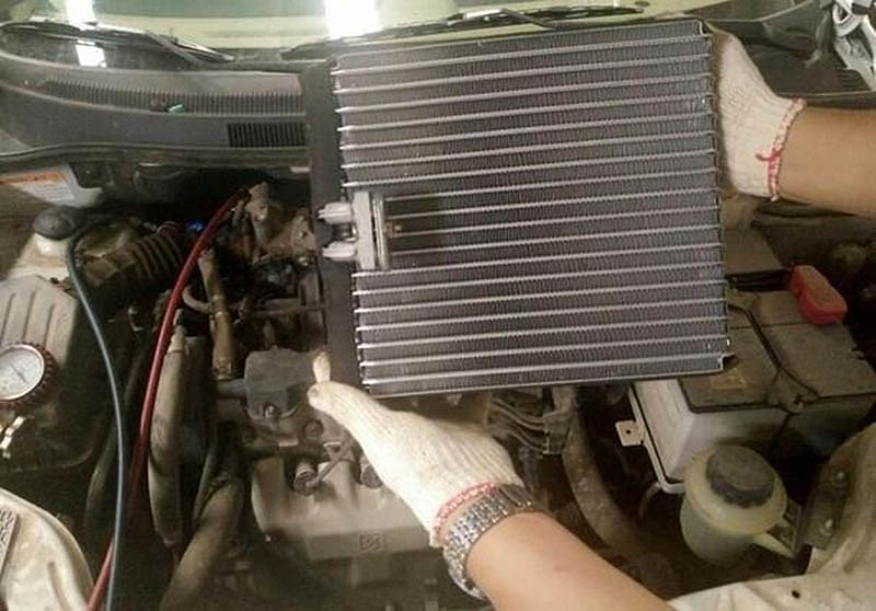 Cách xử lý triệt để tình trạng đông đá