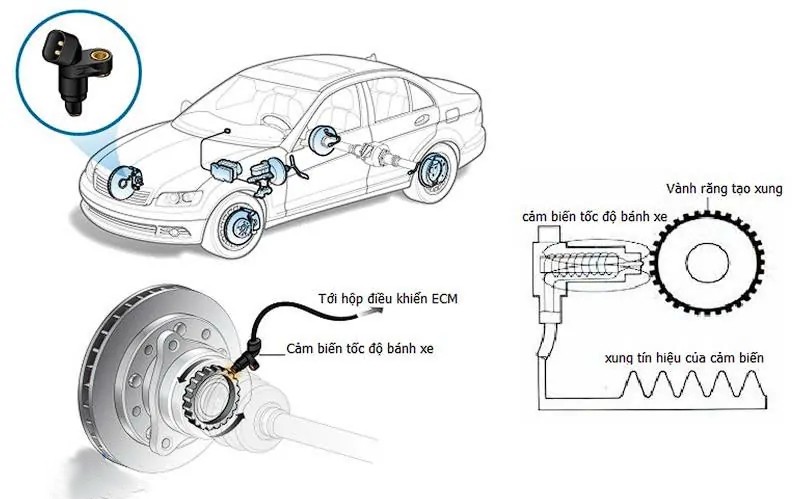Vị tr&iacute; lắp đặt cảm biến ABS tr&ecirc;n &ocirc; t&ocirc;