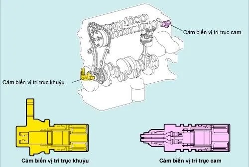 vị tr&iacute; lắp đặt cảm biến vị tr&iacute; trục cam xe