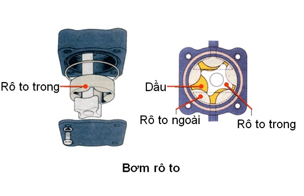 Cấu tạo dạng bơm nhớt rô to