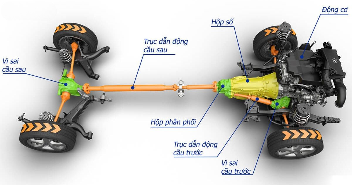 Định nghĩa và vị trí của trục các đăng