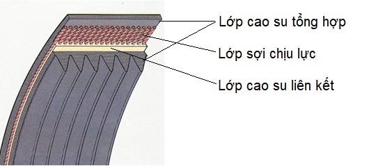 Cấu tạo dây curoa ô tô