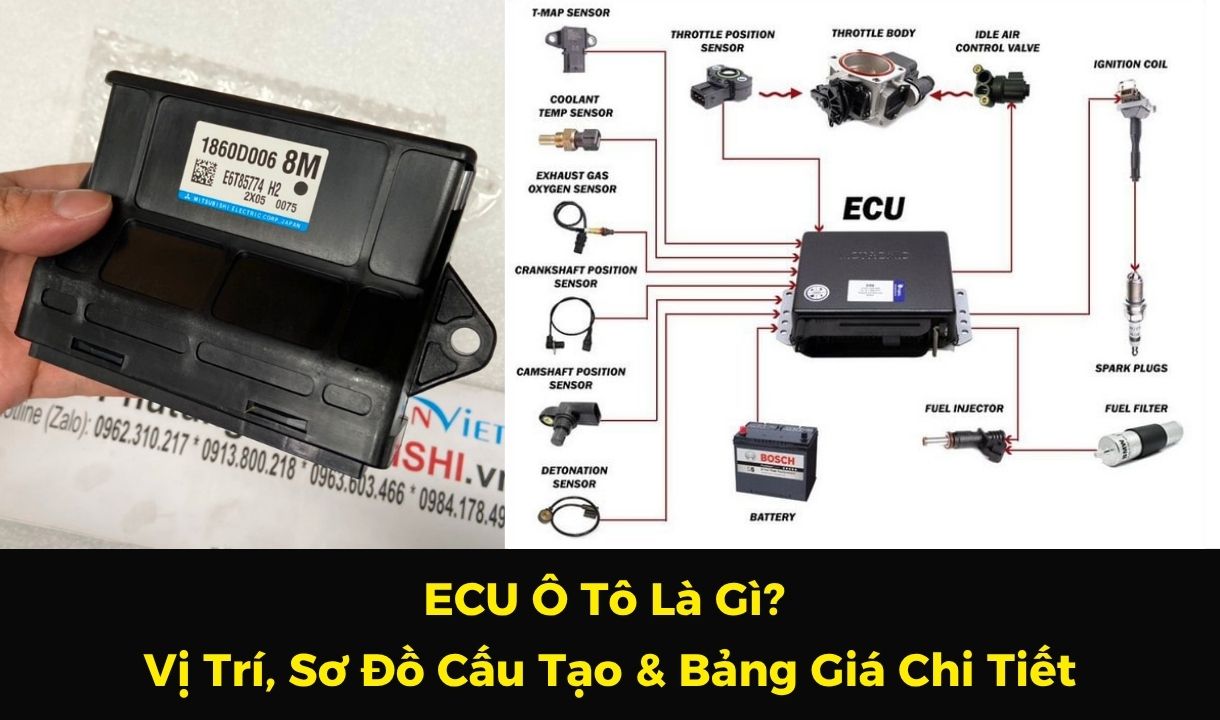 ECU Ô Tô Là Gì? Vị Trí, Sơ Đồ Cấu Tạo & Bảng Giá Chi Tiết