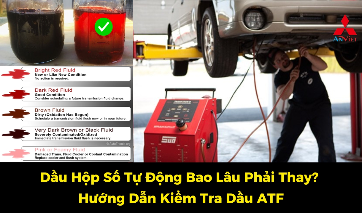 Dầu Hộp Số Tự Động Bao Lâu Phải Thay? Hướng Dẫn Kiểm Tra Dầu ATF