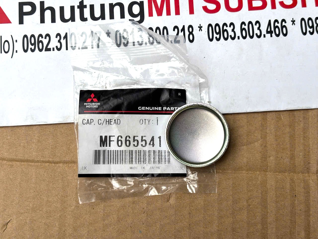 Nút bịt thép tròn trên lốc máy xe Mitsubishi Destinator DST MF665541