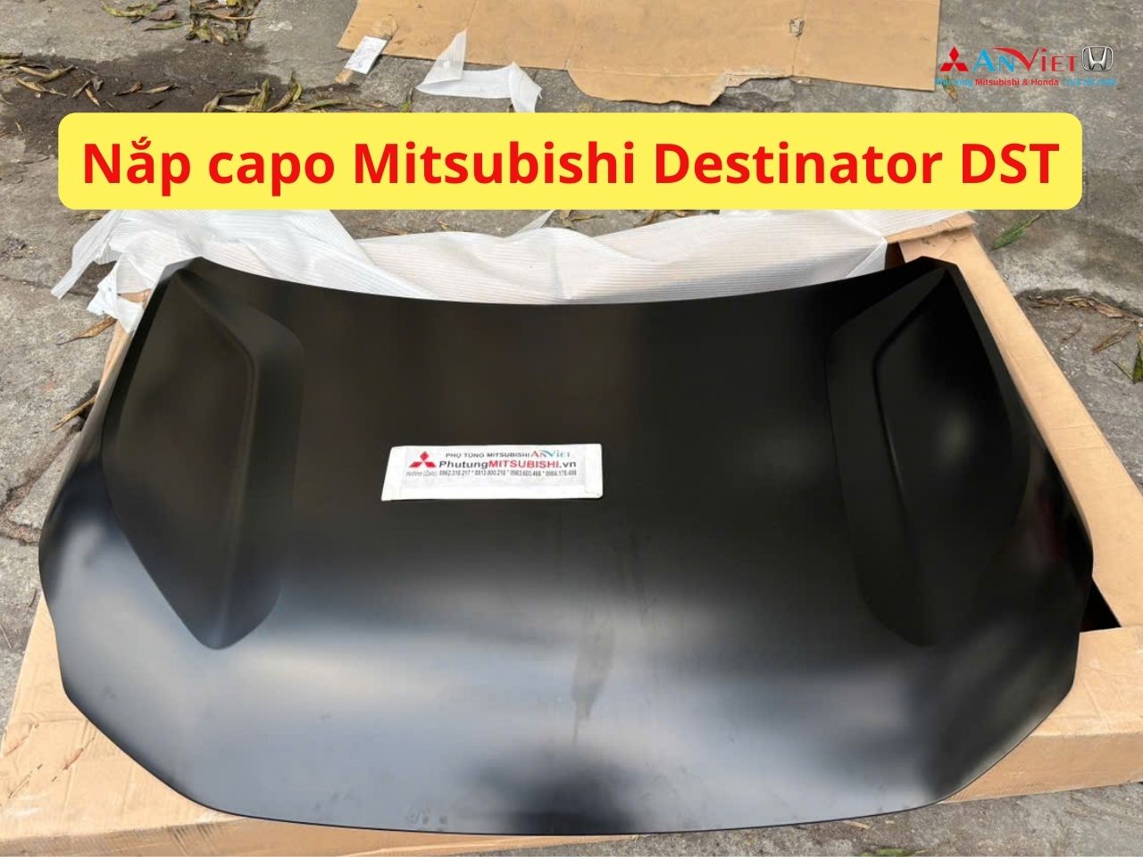 Nắp capo, ca pô Mitsubishi Destinator DST 65100C010P