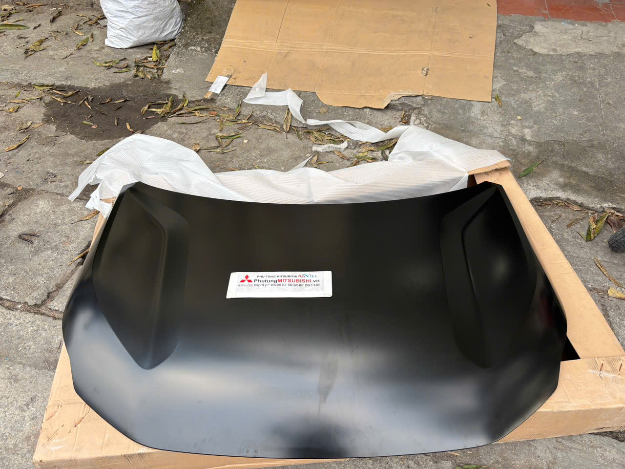 Nắp capo, ca pô Mitsubishi Destinator DST 65100C010P