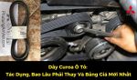 Dây Curoa Ô Tô: Tác Dụng, Bao Lâu Phải Thay Và Bảng Giá Mới Nhất