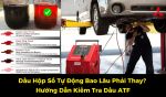 Dầu Hộp Số Tự Động Bao Lâu Phải Thay? Hướng Dẫn Kiểm Tra Dầu ATF