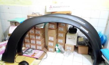 Ốp hông xe mitsubishi Zinger